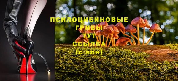 мет Абаза