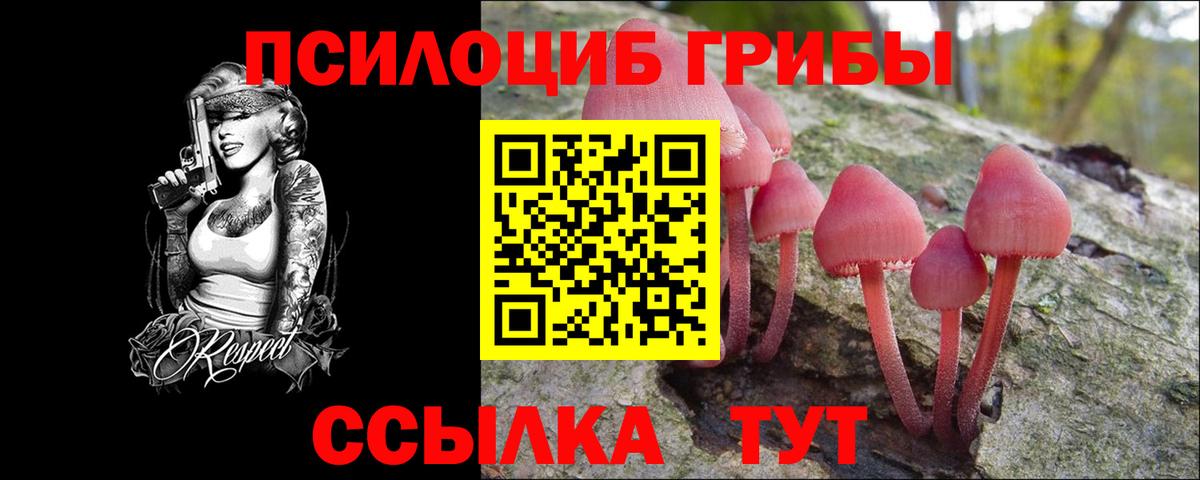 Псилоцибиновые грибы мухоморы  Вход с VPN  Кандалакша  Галлюциногенные грибы прущие грибы 