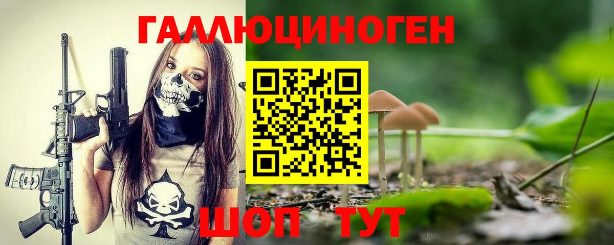 Галлюциногенные грибы MAGIC MUSHROOMS Кандалакша