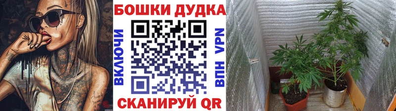 shop телеграм  Кандалакша  Бошки марихуана гибрид 